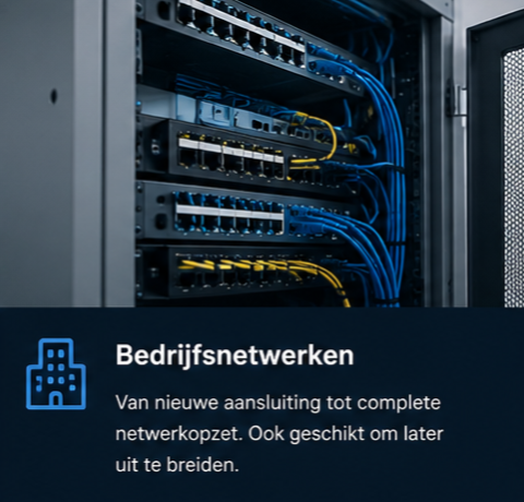 Bedrijfsnetwerken