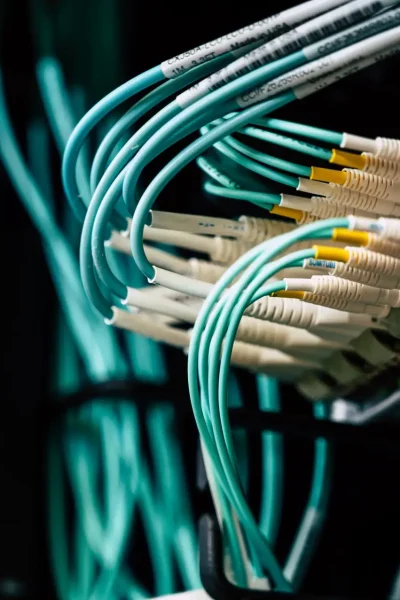 pexels-brett-sayles-2881229